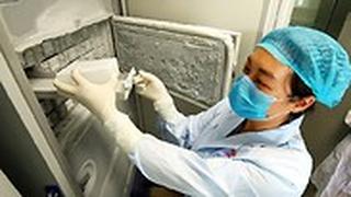 מעבדה ב מכון ווהאן לווירולוגיה ב סין טענות לא-מבוססות ש נגיף ה קורונה התפרץ שם