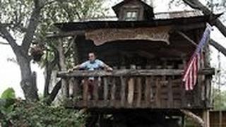 בארנס בבית העץ בחצר