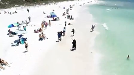 Ангел смерти на побережье Флориды. Фото: снимок с экрана