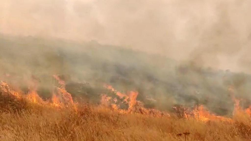 שריפת קוצים סמוך לכביש 325  ליד באר שבע