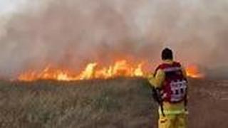 שריפת קוצים מתפשטת באזור אלעד ואזור התעשייה נחשונים