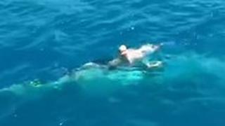 הציל לווייתן שנלכד ברשת ים גולד קואוסט  אוסטרליה