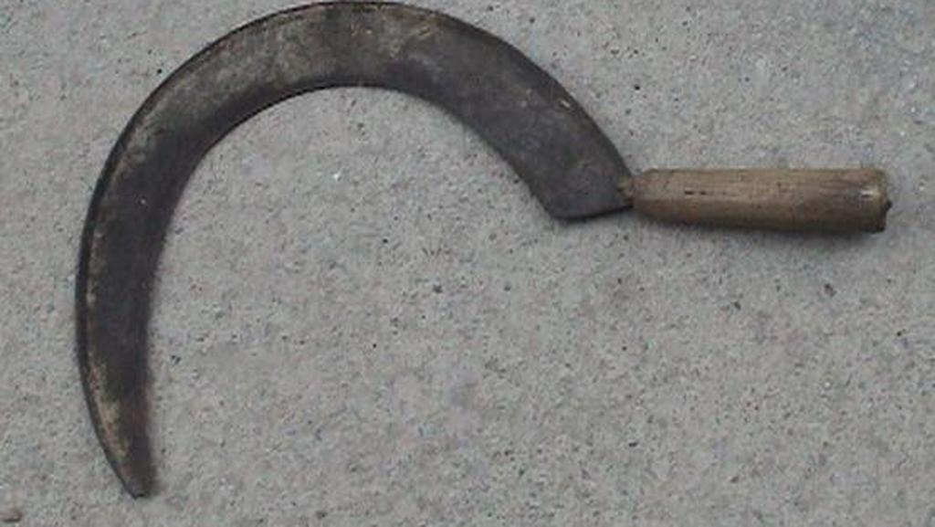 A sickle, a single-handed agricultural tool 