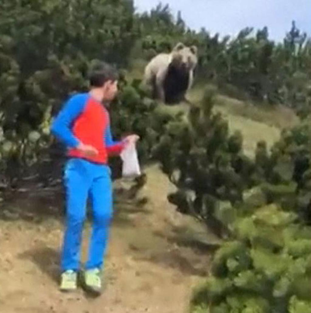 דוב עוקב אחרי ילד בטיול ב דרום טירול ב איטליה