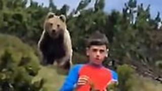 דוב עוקב אחרי ילד בטיול ב דרום טירול ב איטליה