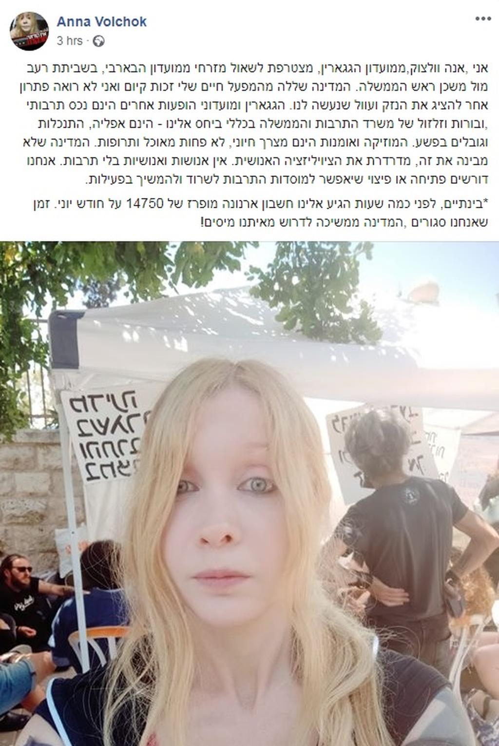 Анна Волчок в Иерусалиме на забастовке. Фото: Facebook