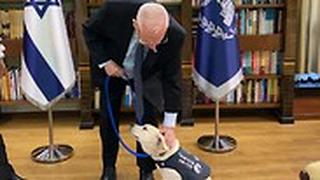 הנשיא ריבלין עם קרמר, כלב נחייה