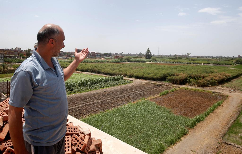 Abdlul Rahman Mostafa, 48, owner of papyrus farmlands and workshops looks at his agricultural land in al-Qaramous village 