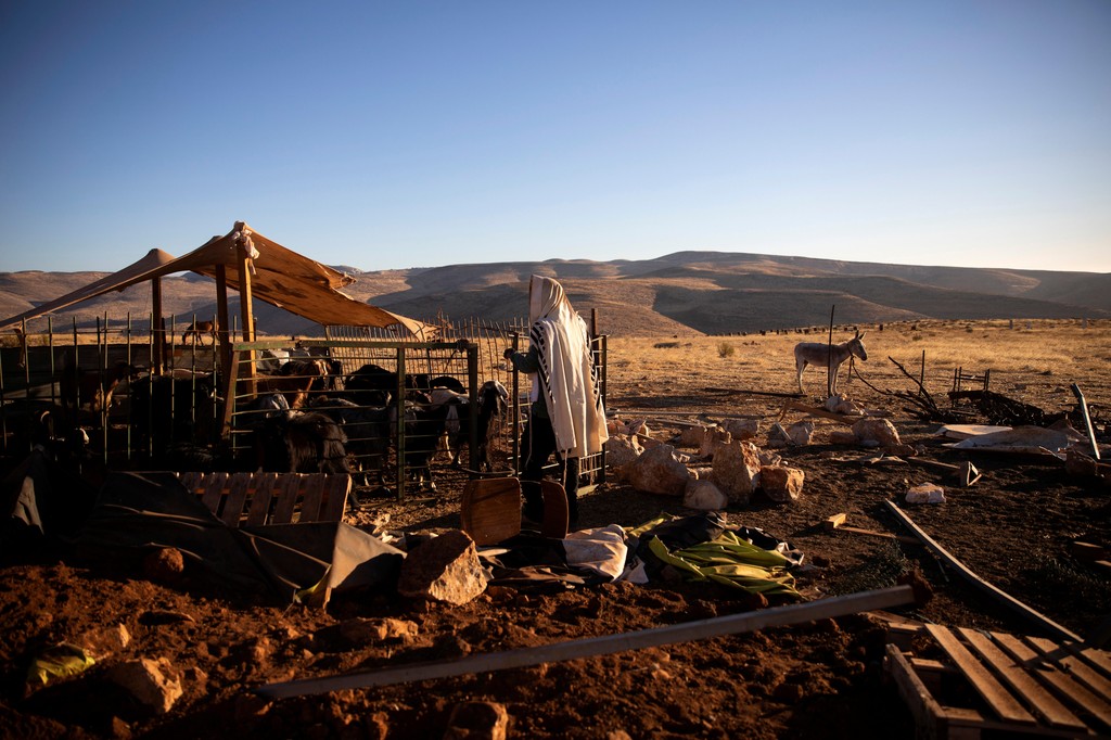 A settler prays near goats in an enclosure at the West Bank outpost of Maoz Ester 