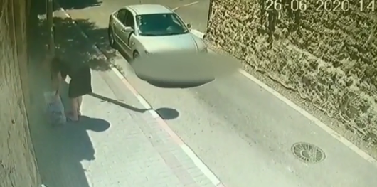 תיעוד נטישת חתול