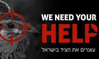 קמפיין נגד ציד בישראל