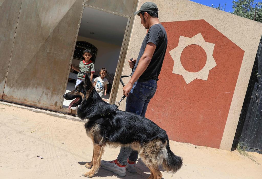 Ossama al-Dahdouh walks with dog Steve past children in Gaza City