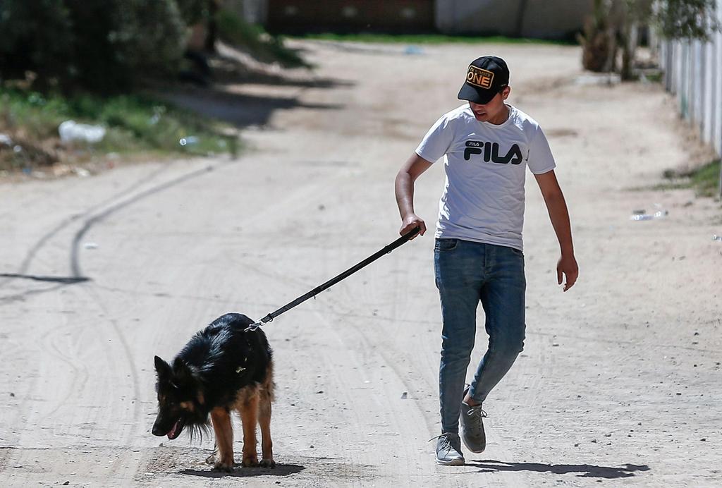 Ossama al-Dahdouh walks his dog Steve in Gaza City