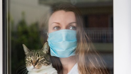 Фото: shutterstock