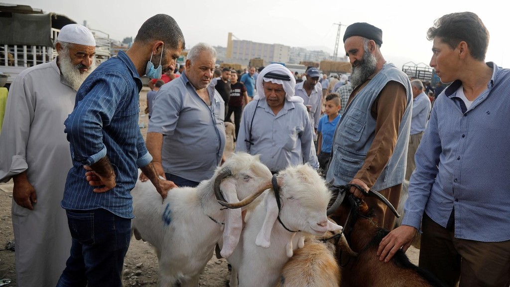 Livestock market near Bethlehem during the Eid 