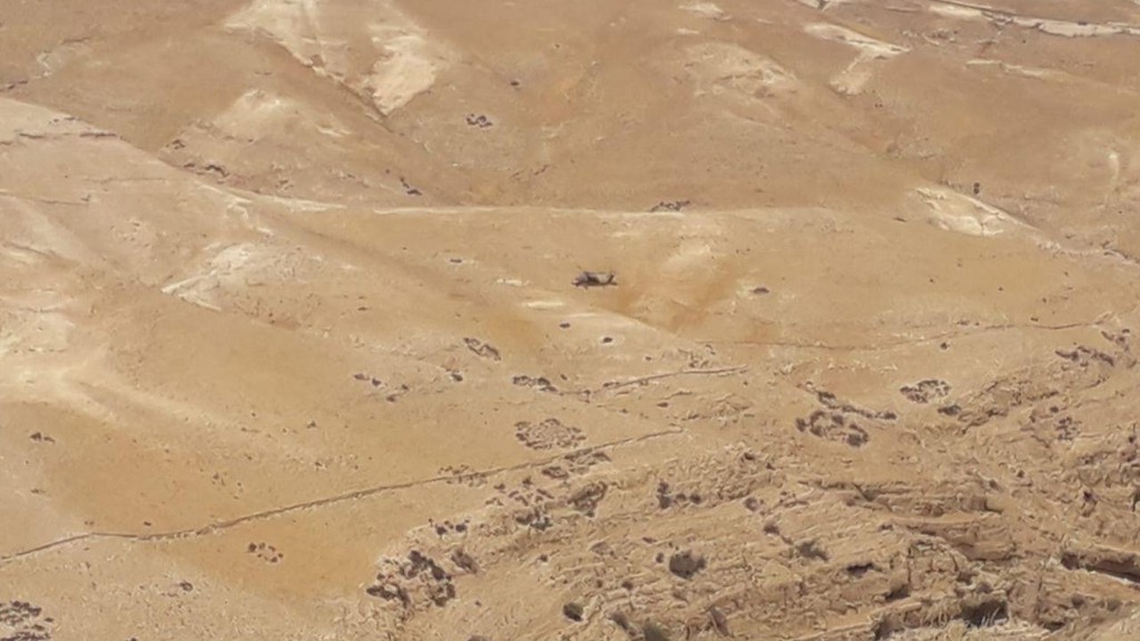 נקבע מותה של נערה שנמצאה מחוסרת הכרה בוואדי קלט