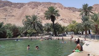 עיינות צוקיםעיינות צוקים