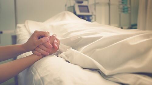 Фото: shutterstock (Фото: shutterstock) Фото: shutterstock