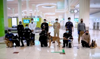 שימוש בכלבי גישוש לאיתור חולי קורונה בנמל תעופה בדובאי