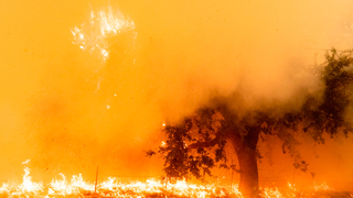 ארה"ב שריפה שריפות יער קליפורניה