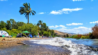 חוף אמנון בכנרת