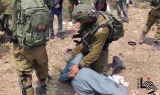 עימות בין חיילי צה"ל לפלסטינים בטול כרם