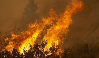 שריפה אש ב אזור לוס אנג'לס קליפורניה ארה"ב