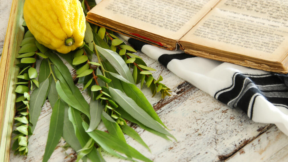 Символы Суккота - четыре вида растений (Фото: shutterstock) ארבעת המינים