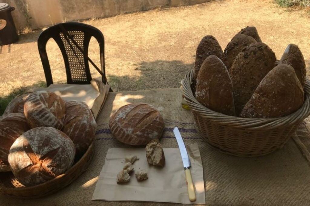 Bread and other products marketed by the ‘peasants’