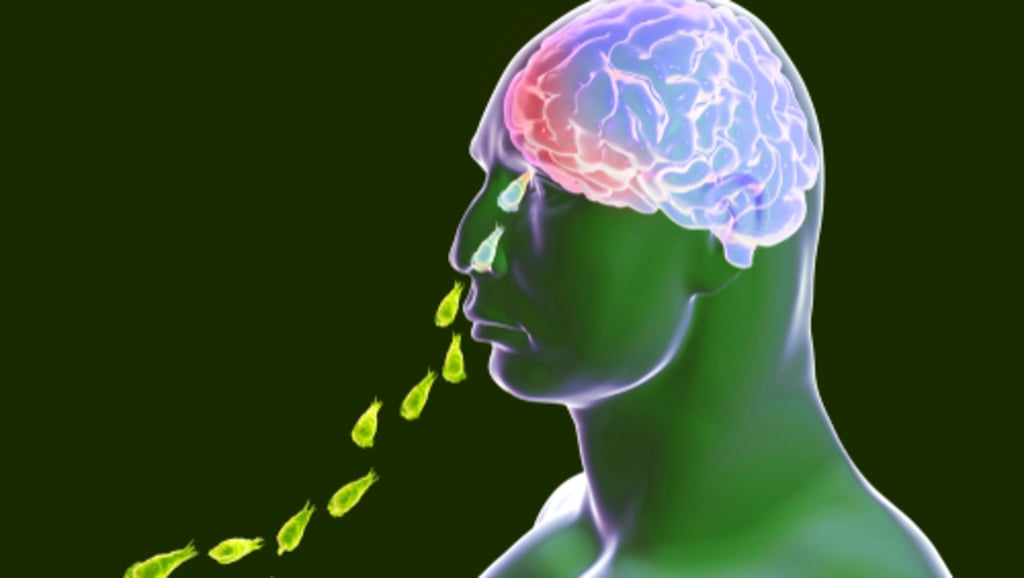 Заражение паразитом происходит через нос (Фото: shutterstock) амеба паразит неглерия