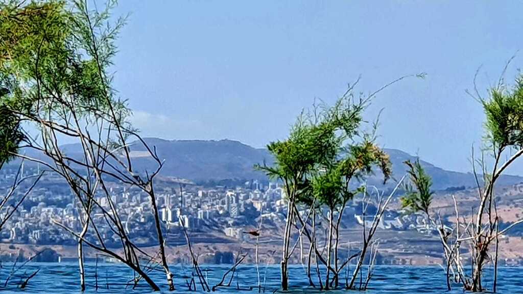 הכינרת שוממה