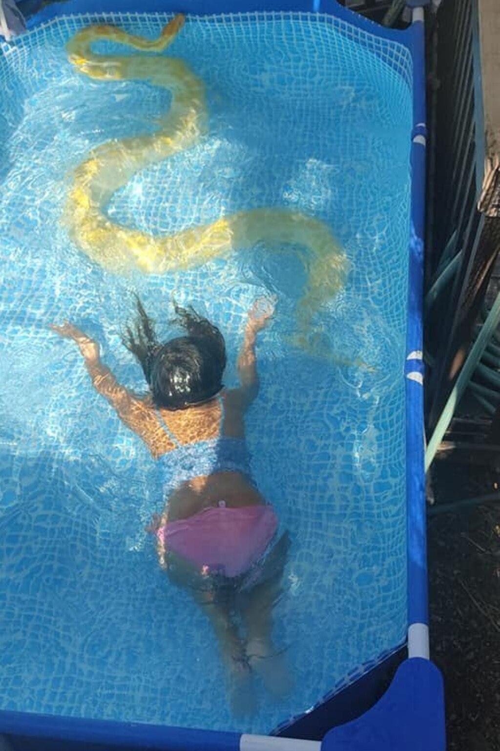 רגילה לשחות עם נחשים מגיל קטן יותר