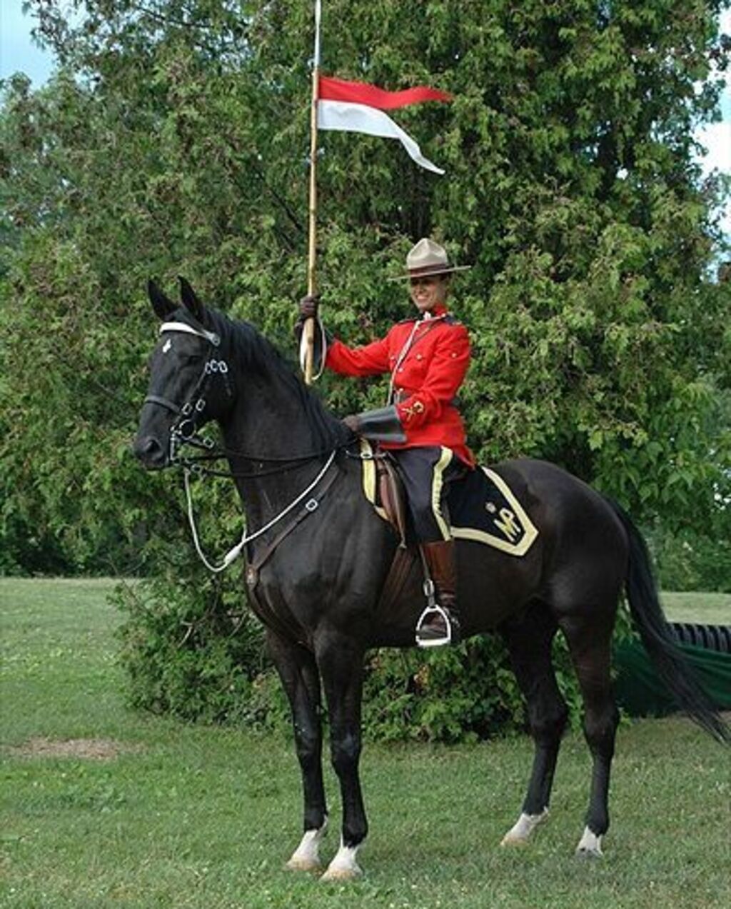 Take me to your leader 