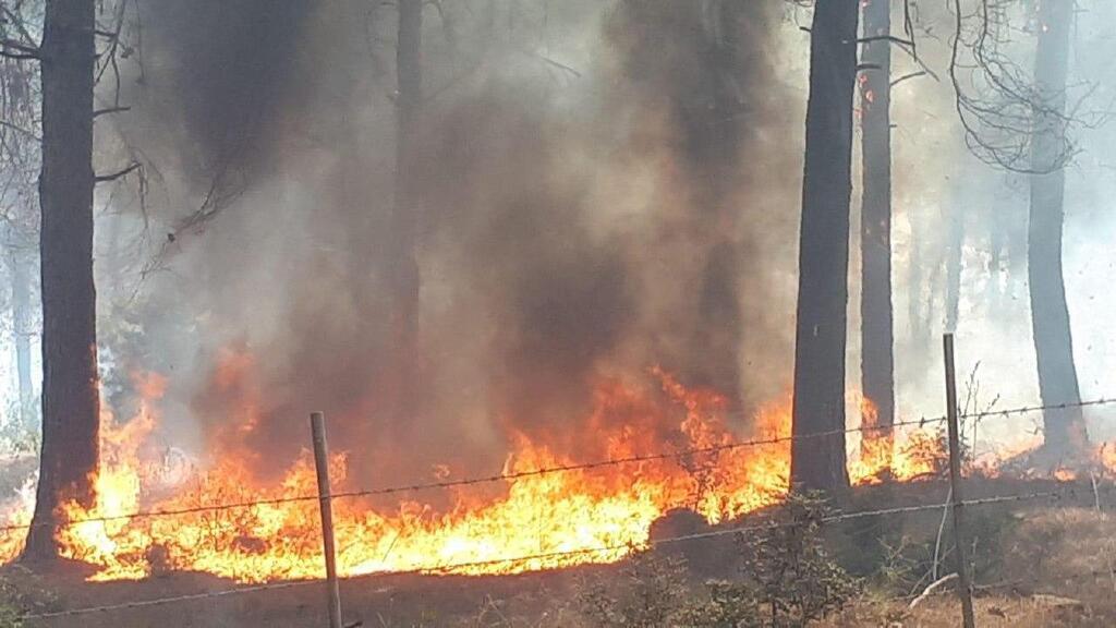 שריפות בסמוך לנוף הגליל