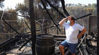 נזקי השריפה בנוף הגליל