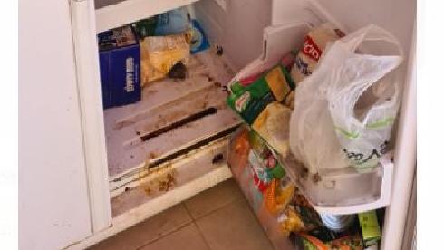 Холодильник семьи из Холона