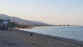 חוף דוגית ריק ממבקרים