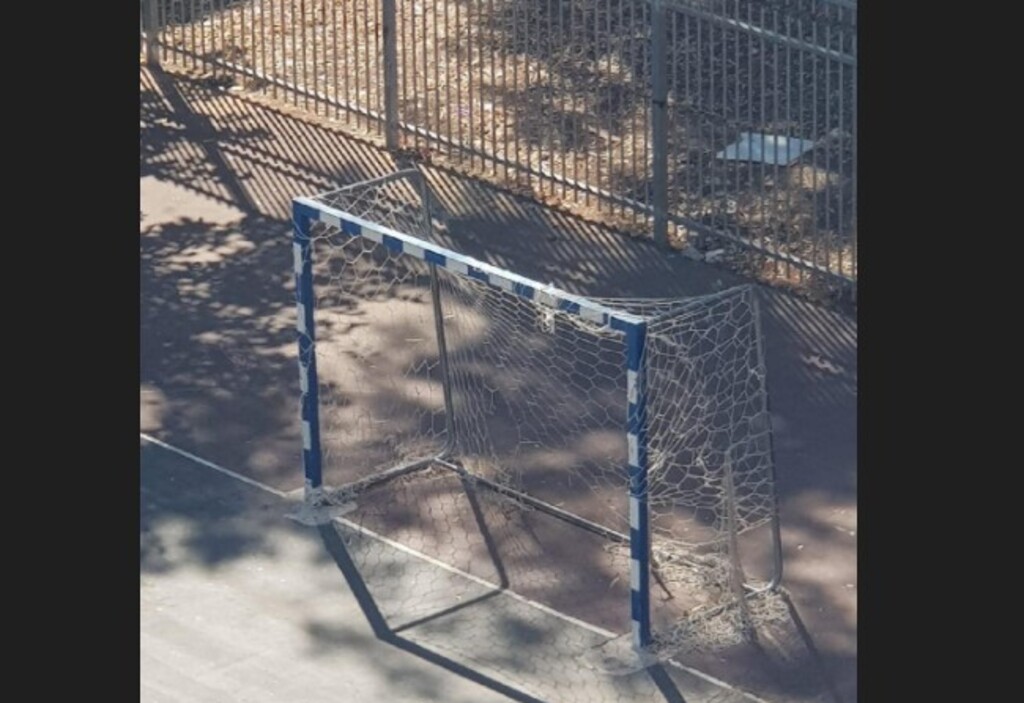 Футбольные ворота, в которых запутался кот (Фото: частный архив) Футбольные ворота, в которых запутался кот