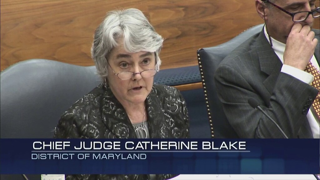 U.S. District Judge Catherine Blake 