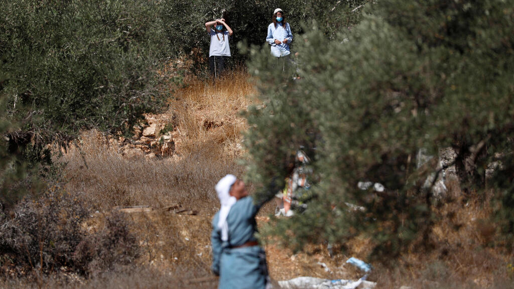 Israeli settlers watch as a Palestinian man as he picks up olives near a Jewish settlement outpost near Ramallah 