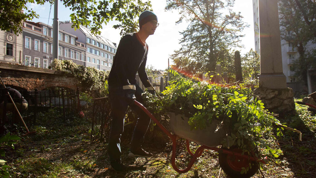 A volunteer cleans up the old Waehring Jewish cemetery in Vienna 