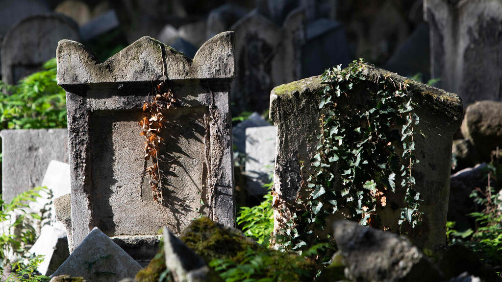 Gravestones are seen at the old Waehring Jewish cemetery in Vienna o