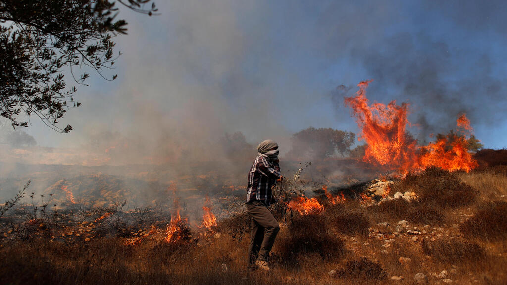 Grass burns in an olive field after Israeli forces fired tear gas canisters during a Palestinian protest against Jewish settlements