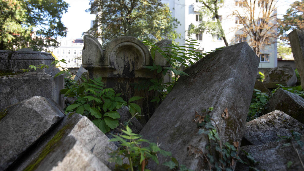 Gravestones are seen at the old Waehring Jewish cemetery in Vienna o