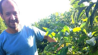 ד"ר רובינוביץ בחלקת הניסוי