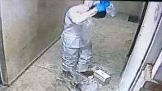 עובד מד"א תועד יורק על תמונות דתיות נוצריות