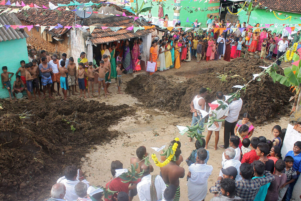  מלחמת גללי פרות בכפר ב הודו פסטיבל גורה הבה שנערך יום לאחר פסטיבל דיוואלי