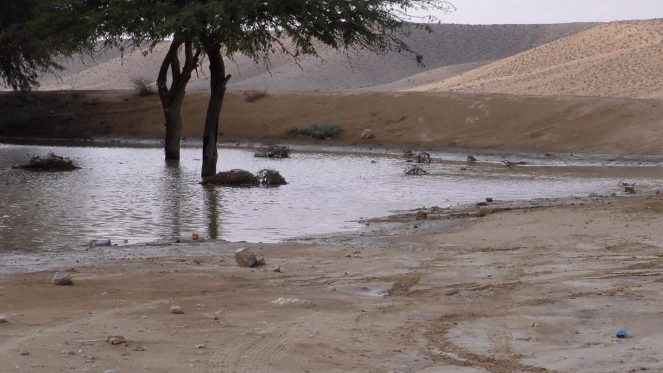 This pool of water formed in a depression in the Negev Desert following intense rainfall in November 2020 