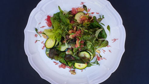 סלטים ירוקים - נדב טל