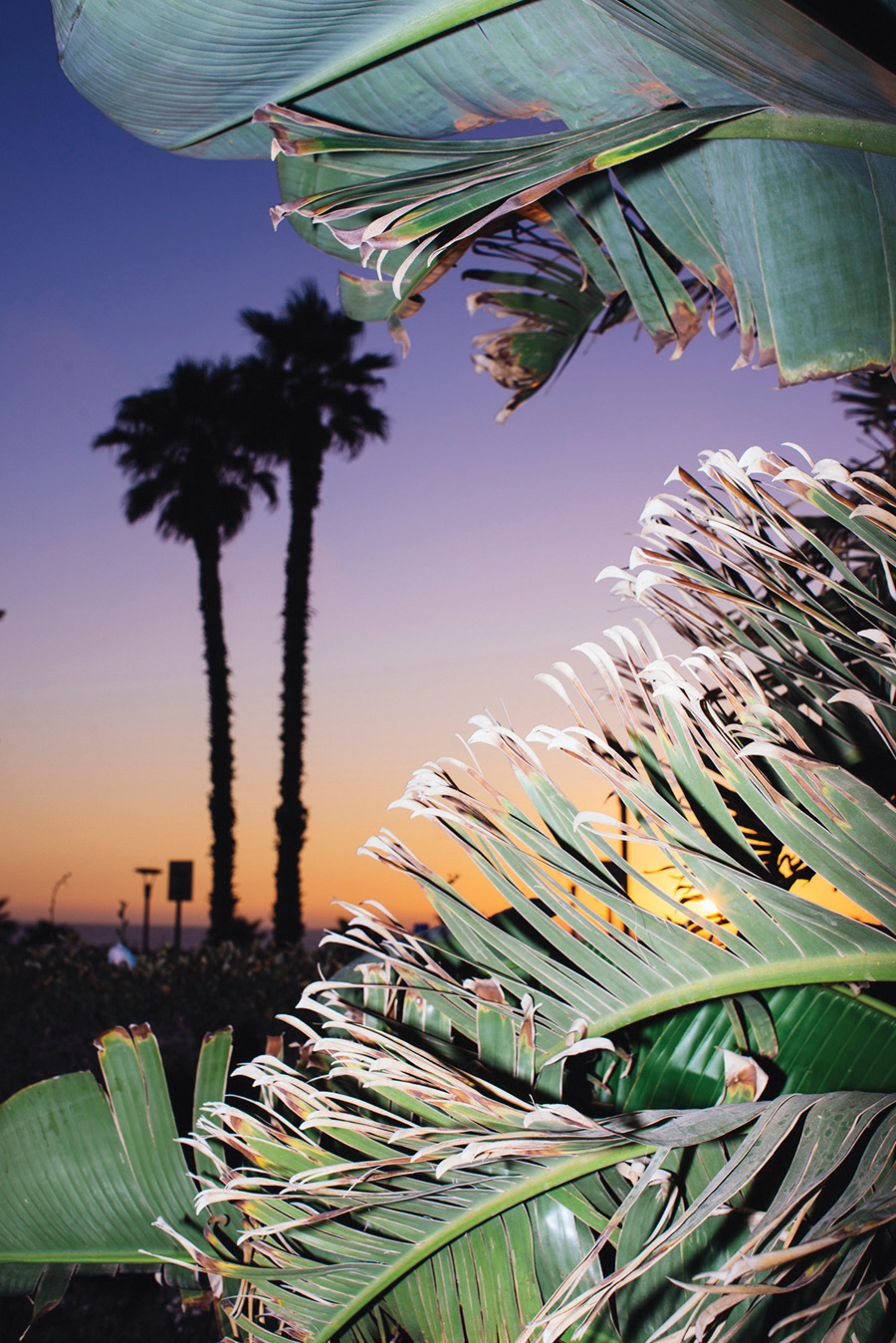 Из серии "Посетители". Работа Саши Тамарина 